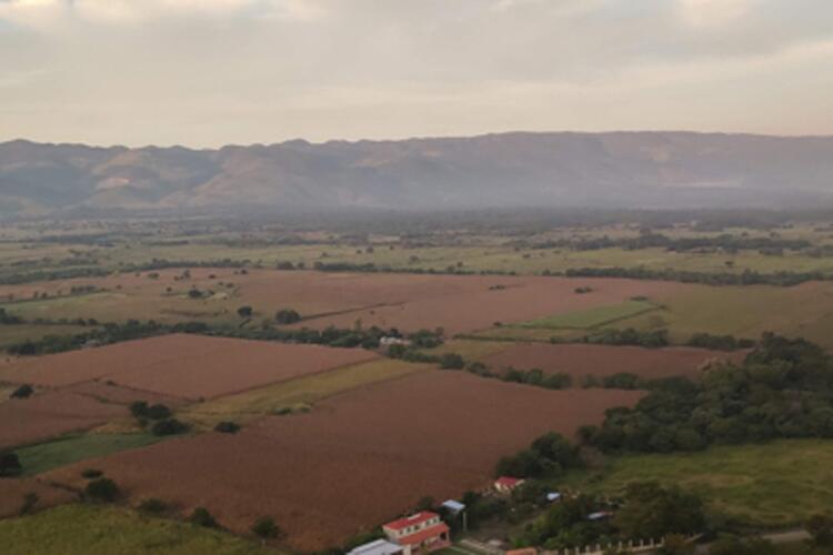 mexico fields