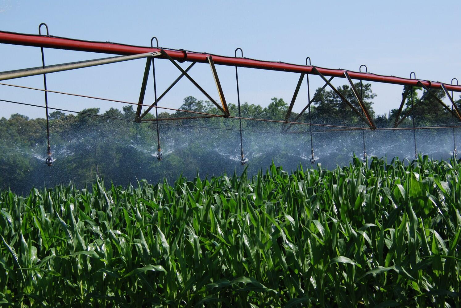Illinois, Nebraska scientists propose improvements to precision crop irrigation