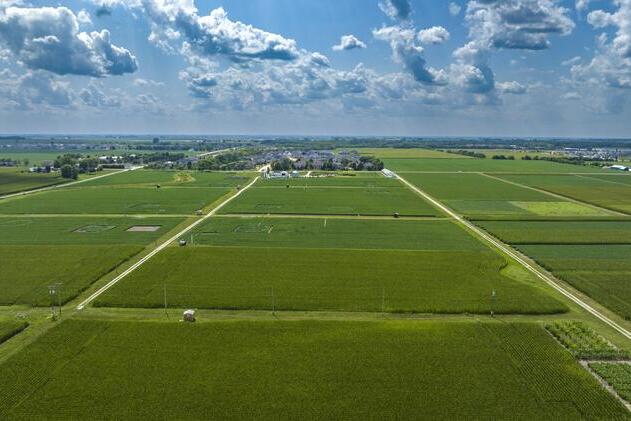 Crops at the The SoyFACE (Soybean Free Air Concentration Enrichment) facility.