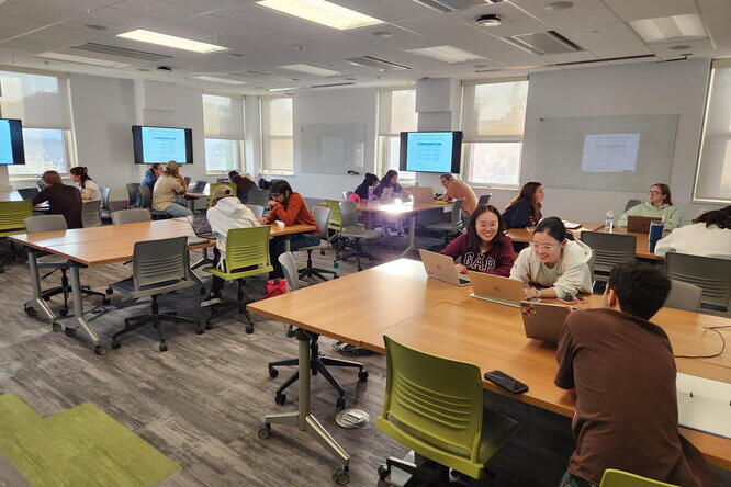 Principles of Agroecology students work together to investigate food production systems around the world. Students in a classroom working together on laptops.