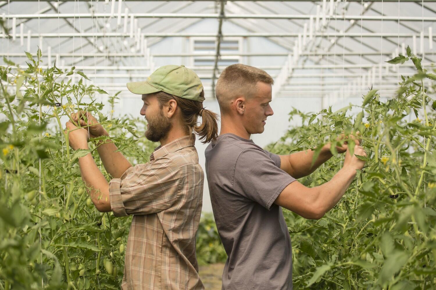 Rethinking Agronomy Day at U of I means pop-up events and more