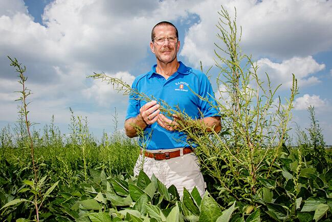 Aaron Hager with waterhemp