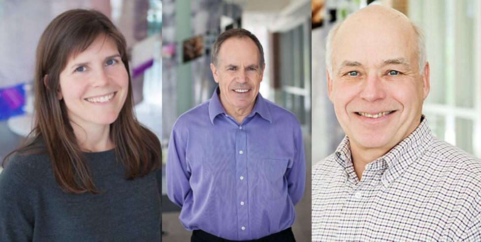 ACES researchers among 2019’s most influential scientists