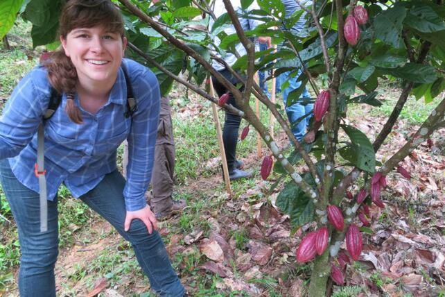 Allison Brown stands next to a cocoa plant. 