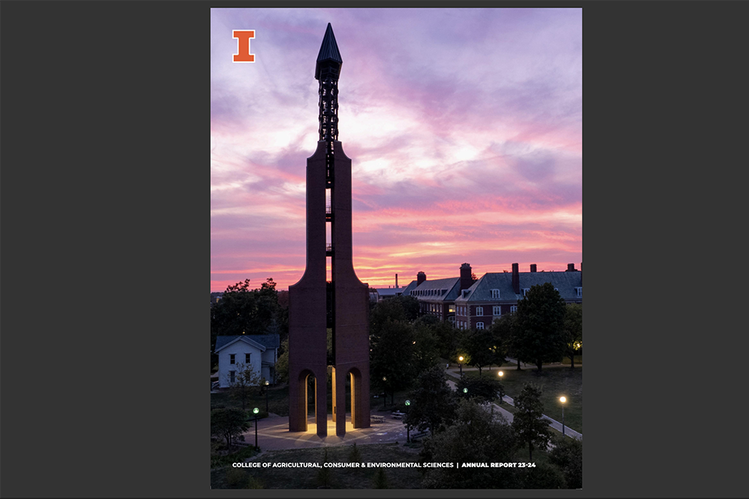 Cover of the 23-24 ACES Annual Report. A screenshot of the annual report on ISSUU.