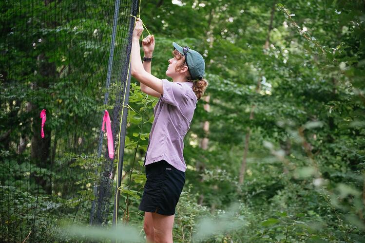 Elizabeth Bielke setting up mesh exclosure