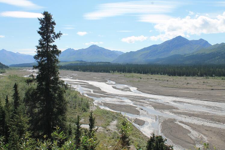 Braided river running through Alaska's Denali National Park