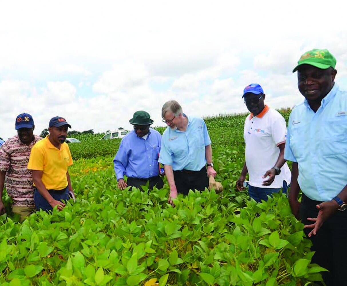 Soybean Innovation Lab awarded $5 million to train Feed the Future Innovation Lab leaders 