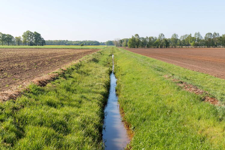 A small stream cuts between two farm fields