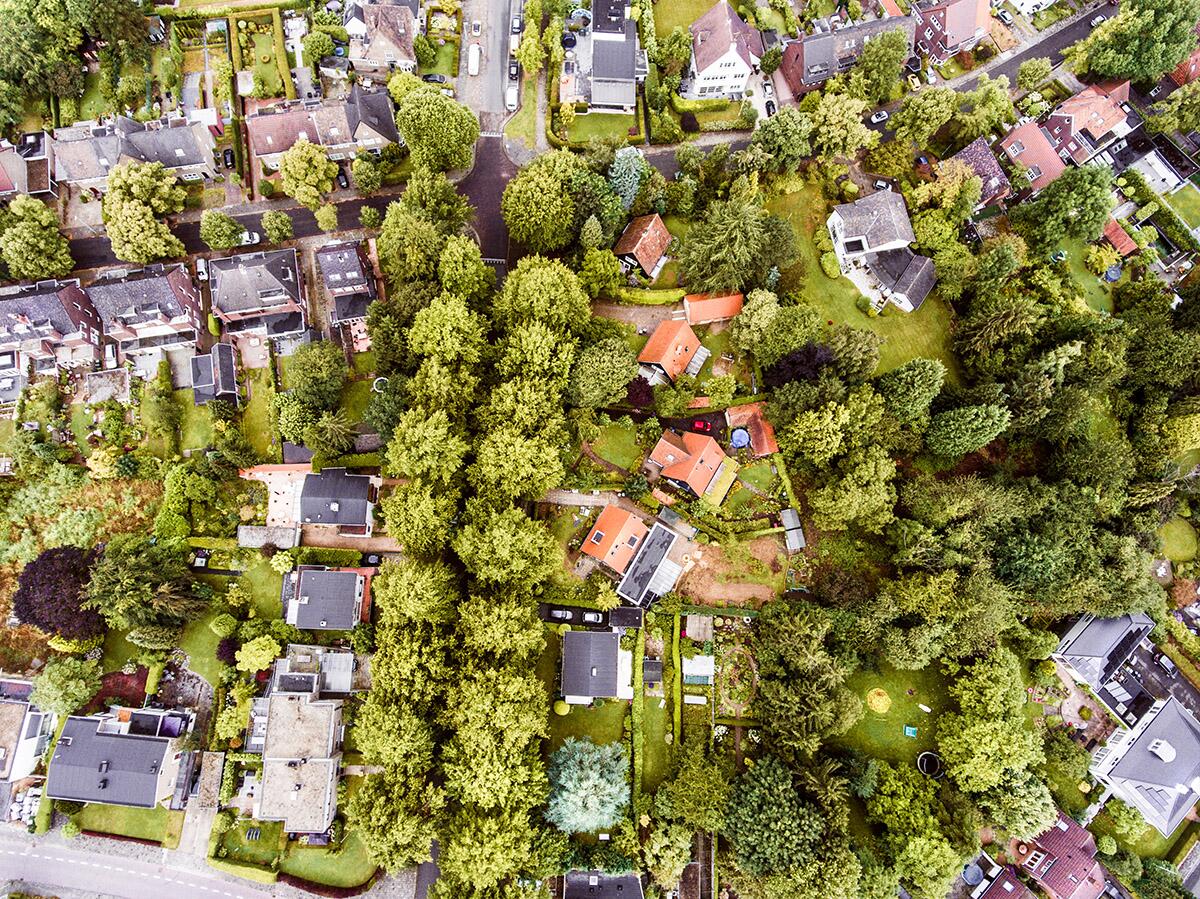 Neighborhood trees may protect against high medical costs, poor health