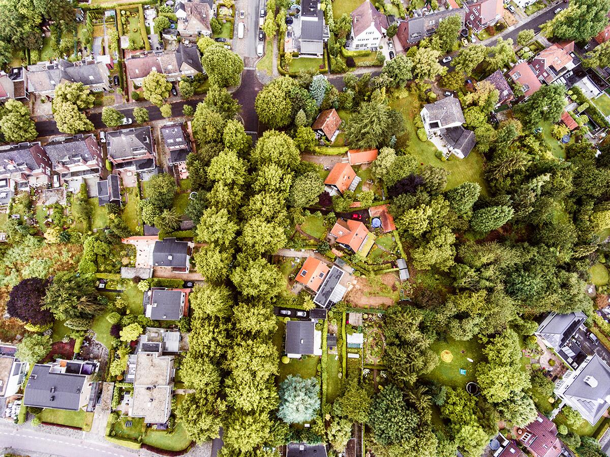 Neighborhood trees may protect against high medical costs, poor health, College of Agricultural, Consumer and Environmental Sciences