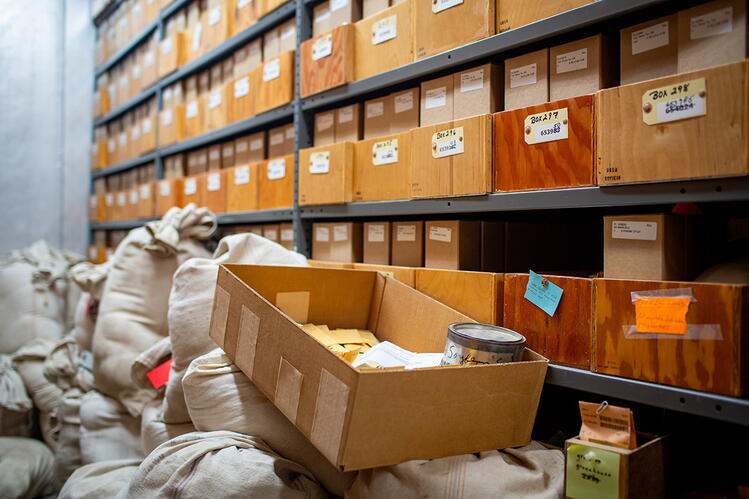 Dozens of wooden boxes with labels line a set of shelves. On the floor are large burlap sacks filled with soybeans. In the foreground, a box contains a jar with the word "soybeans."