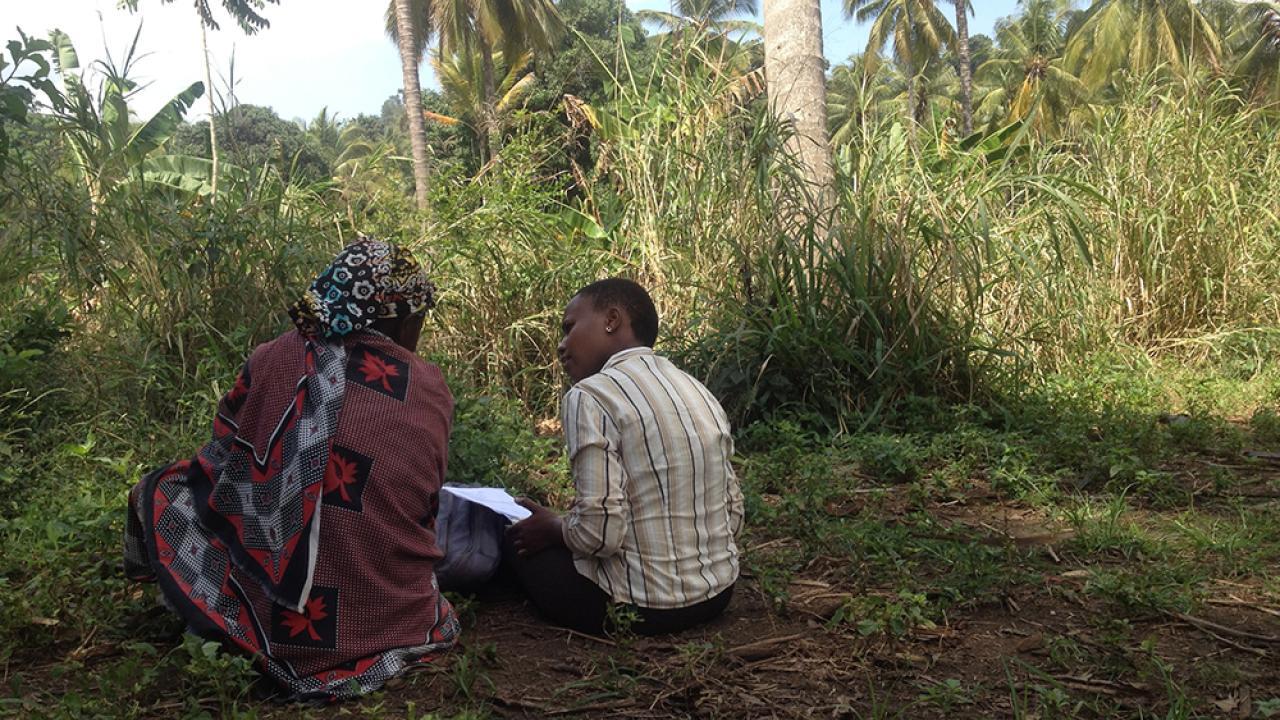 Tanzania field trial finds soil testing and subsidies can increase fertilizer use and maize yields