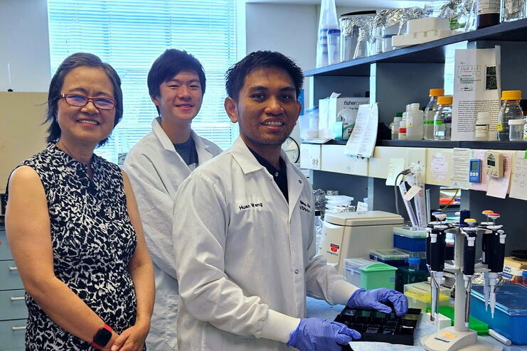 Nutritional Sciences doctoral student Abrory Pramana (right), FSHN associate professor Hong Chen (left), and summer research intern Henry Liu (center) investigate gut microbiome balance and its roles in early-onset colorectal cancer. Three people stand in a laboratory. Two are wearing white lab coats. Bottles of chemicals line the shelves in the background.