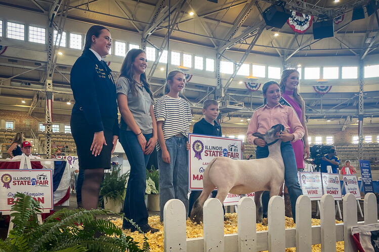 Olive Ryan of Christian County exhibits the Land of Lincoln Grand Champion Market Lamb at the 2025 Illinois State Fair Sale of Champions. Olive Ryan exhibits a market lamb beside five youths in the Coliseum.