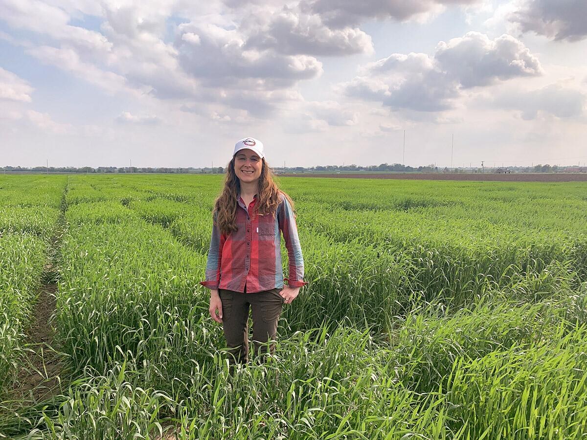 U of I wheat, barley field day set for May 21 at Riggs Beer Company