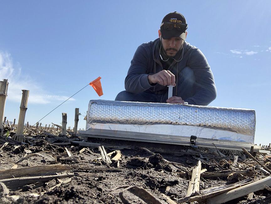 Researchers find tradeoff between water quality and emissions on the farm