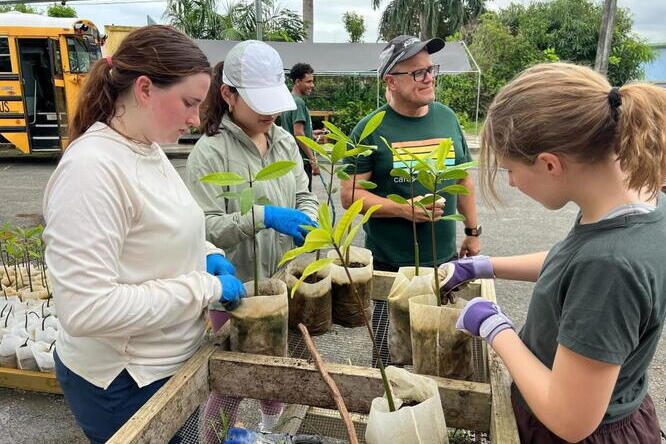 Three women and a man standing outdoors by a table with plant seedlings in bags