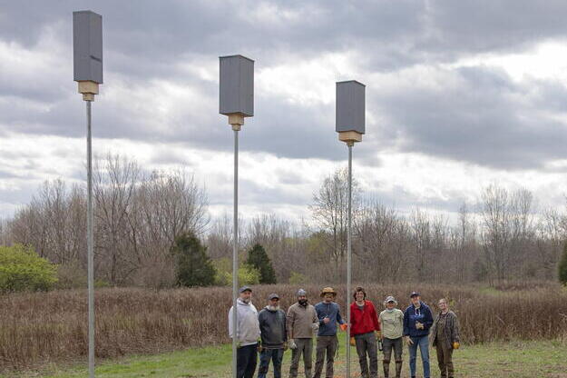 Researchers stand nex to bat boxes in a field