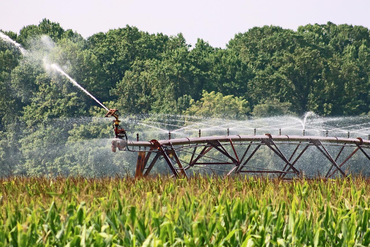 Turned-down temperatures boost crops’ penchant for production