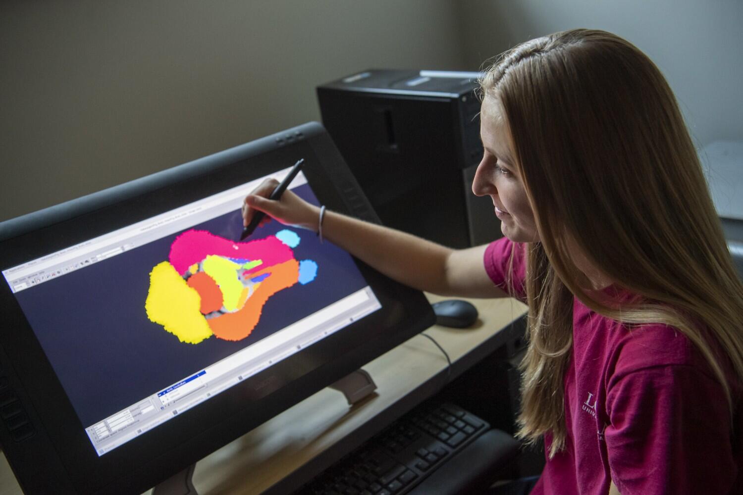 New pig brain maps facilitate human neuroscience discoveries