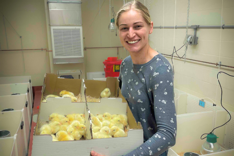 Juli Jespersen holds a cardboard box filled with yellow chicks. In the background, white plastic chicken pens are visible.