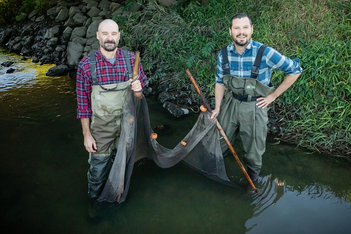 Team discovers invasive-native crayfish hybrids in Missouri