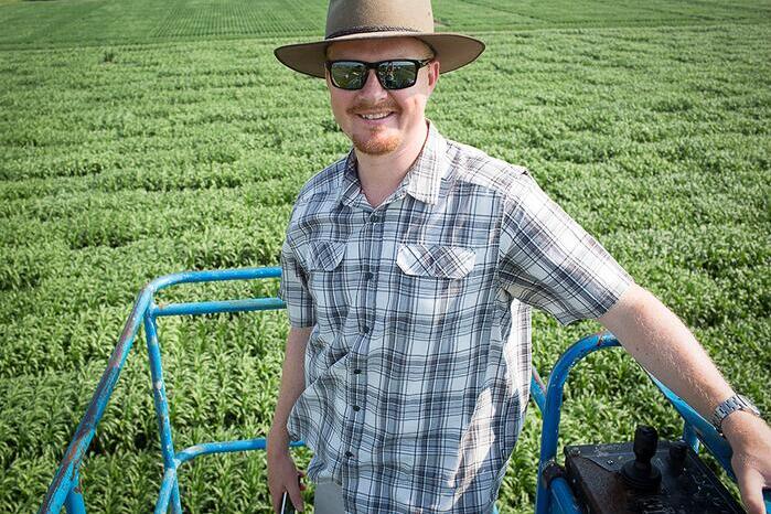 Leakey stands in a lift over a field of sorghum.