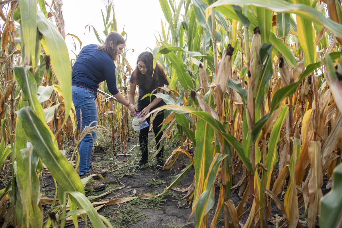 Improving soil health starts with farmer-researcher collaboration