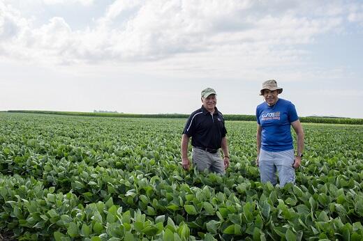 RIPE project receives additional $13 million to accelerate progress to redesign photosynthesis