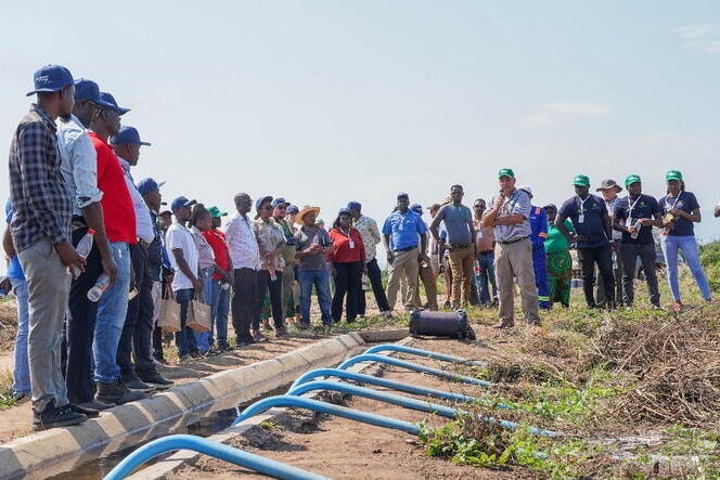 A group of people wearing hats observes blue irrigation pipes and vegetation during an outdoor demonstration.