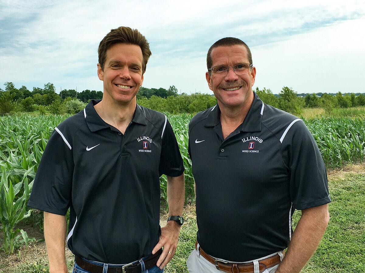 Think climate change is bad for corn? Add weeds to the equation Think climate change is bad for corn? Add weeds to the equation