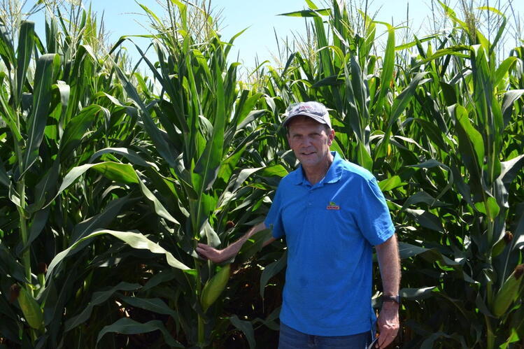 Graham poses in front of a vibrant cornfield, showcasing tall stalks and bright green leaves