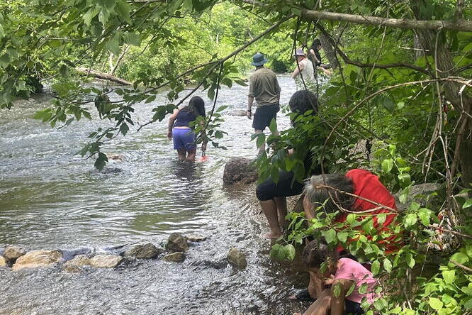 Children and adults stand in and around a creek