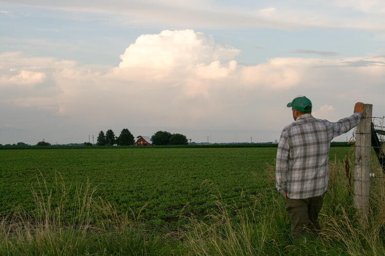 Man in a plaid shirt and baseball hat stands near a fence post and looks out across a field. In the background, the evening sky is filled with clouds.