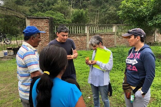 Researchers collecting study data