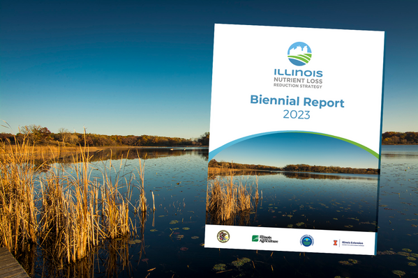 Image of the report cover with a wetland in the background