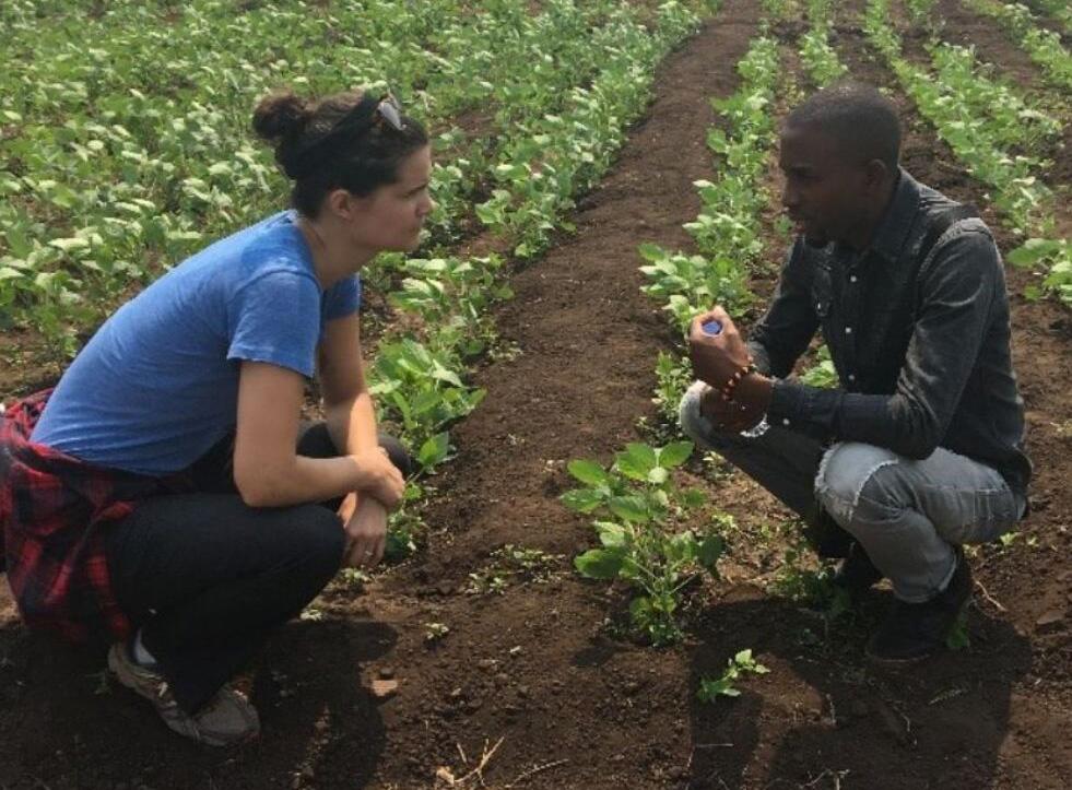 Soybean Innovation Lab is connecting people around the globe with new, free online course