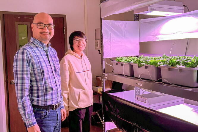 Two people stand next to an indoor hydroponic setup with leafy green plants growing under artificial lights in a lab setting.