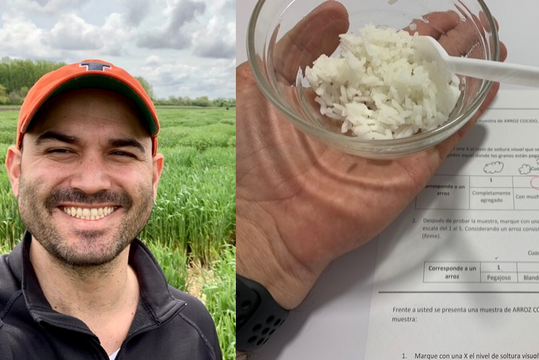 Juan Arbelaez (left) and a rice sensory testing sample (right).
