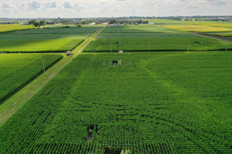 The SoyFACE research facility near Champaign, IL. The effects of elevated ozone on soybean, snap bean, maize, and C4 bioenergy grasses were investigated at this location. Credit: Jim Baltz Aerial view of green crop fields