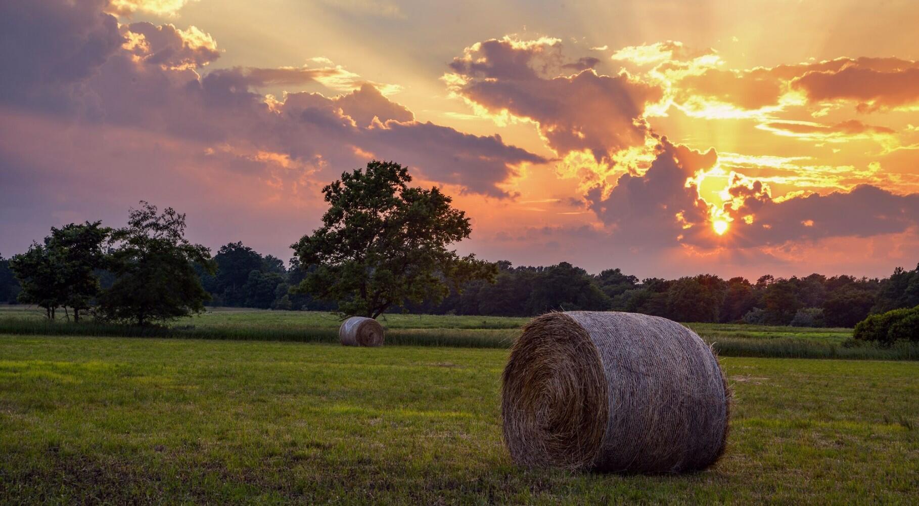 ACES, Extension researchers add expertise to Illinois climate change report