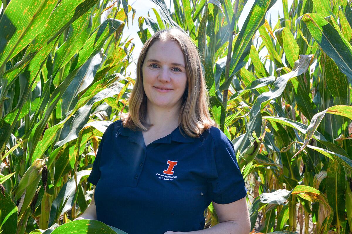 Illinois project takes on quantitative disease resistance in corn