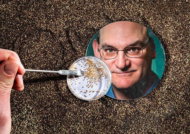 Herbicide resistance no longer a black box for scientists