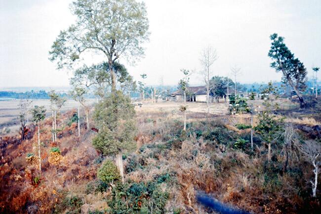 Toxic byproducts of Agent Orange continue to pollute Vietnam environment, study says