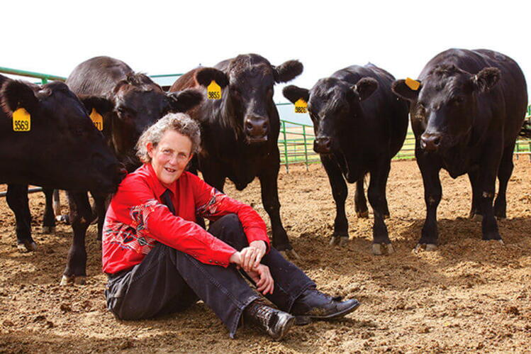 Temple Grandin (Photo credit: Rosalie Winard) Temple Grandin with cows