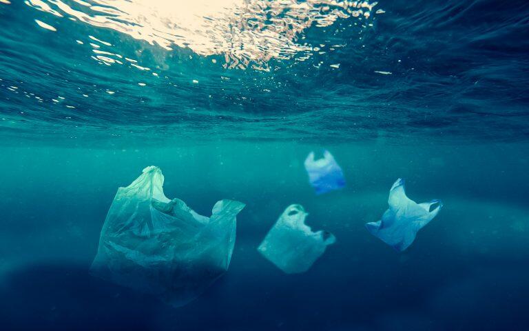 Producers and consumers must share burden of global plastic packaging waste