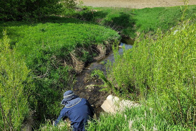 A person in a blue coat stands in or near a stream, lowering sampling equipment into the water. Grass and trees can be seen on the banks of the stream.