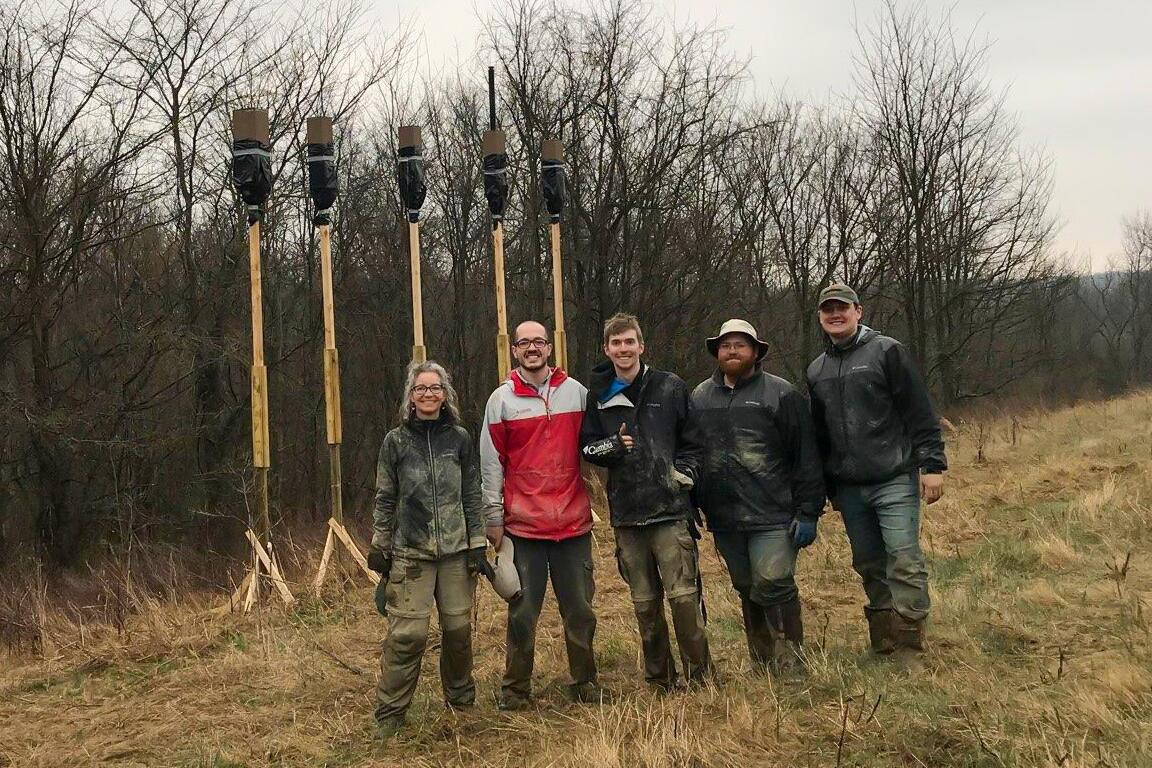 Bat box design, placement matter for energy balance in endangered bats