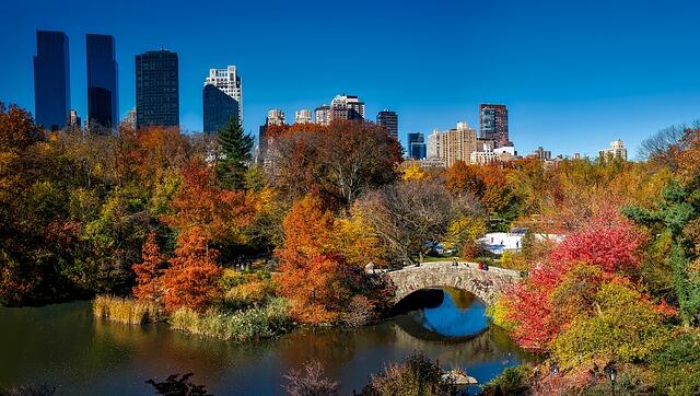 Researchers call for urban greening to improve mental health